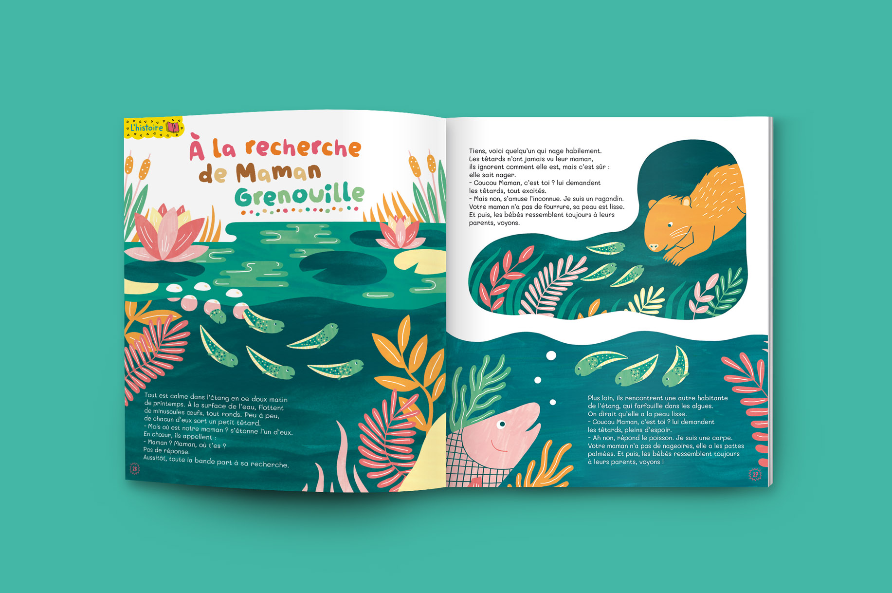 illustrations pour le magazine jeunesse La petite salamandre
