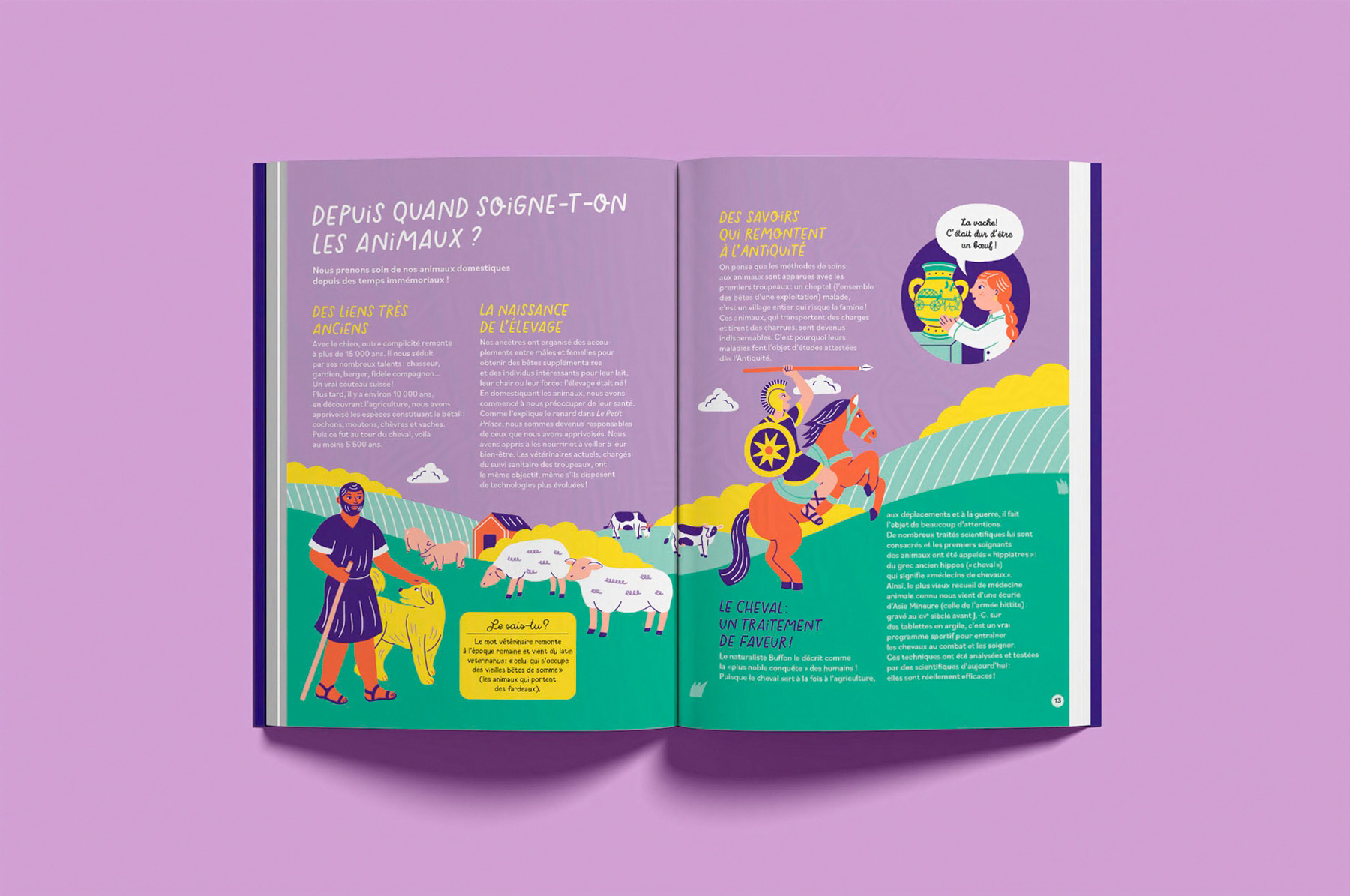 pages illustrées de l'album jeunesse documentaire Je rêve d'être vétérinaire paru chez Casterman