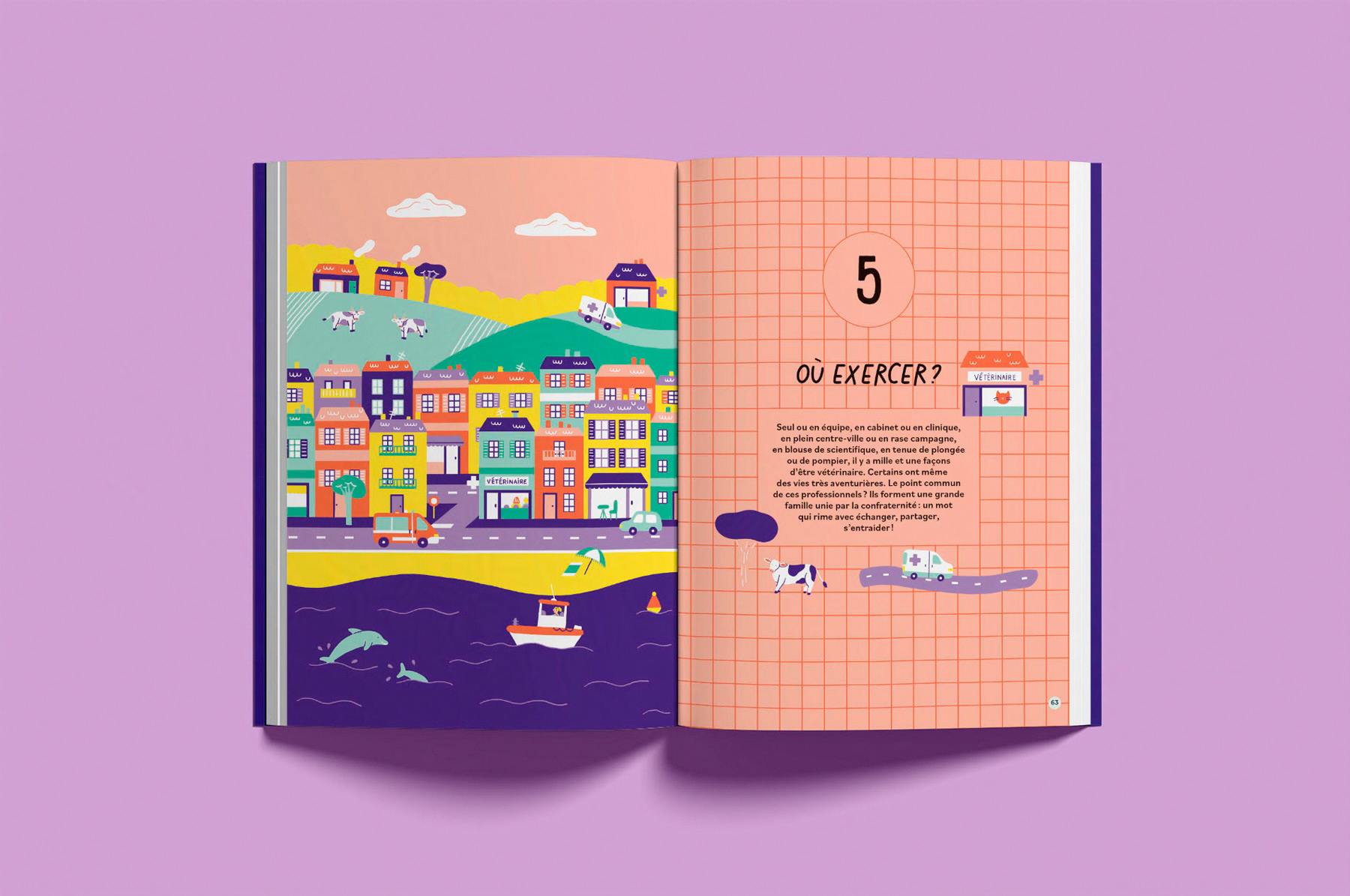 pages illustrées de l'album jeunesse documentaire Je rêve d'être vétérinaire paru chez Casterman