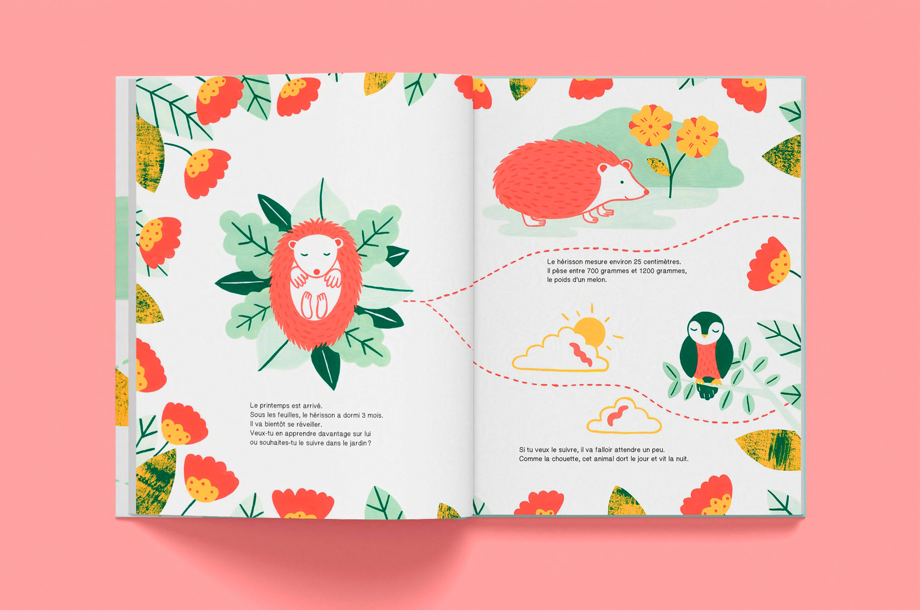 pages intérieures de l'album jeunesse documentaire Le hérisson paru chez les éditions La Cabane bleue